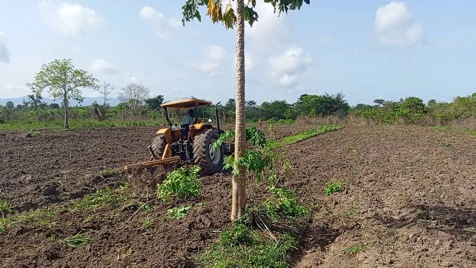 Our Work 9 WhatsApp Image 2024 04 23 at 7.37.54 PM